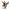 Lauro Paolini - Soul SMALL Liner Tattoo Coil Machine - Yellow