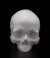 Yorick Skull