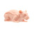 Naked Rat - Skin Tone 2