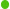 Granny Smith Green 1oz