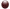 Dried Blood 1oz